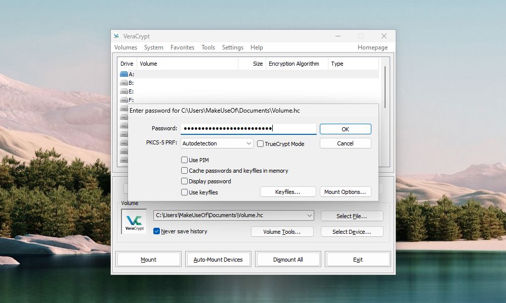 إدخال كلمة مرور على VeraCrypt 