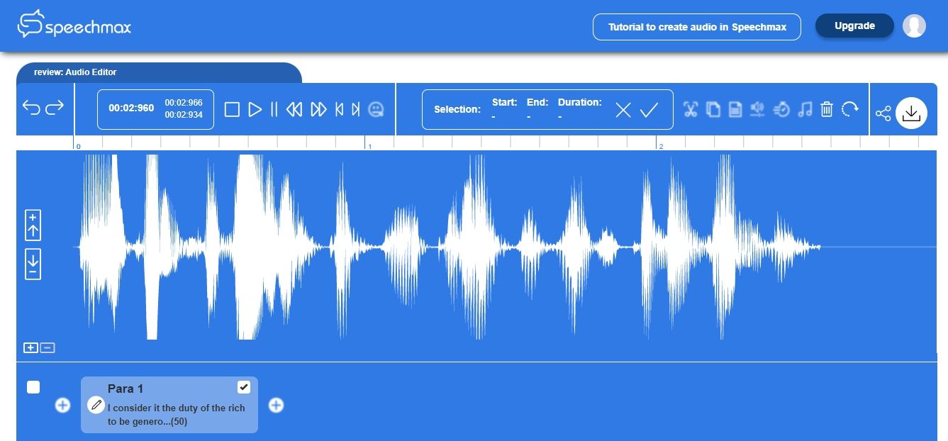 speechmax screenshot 