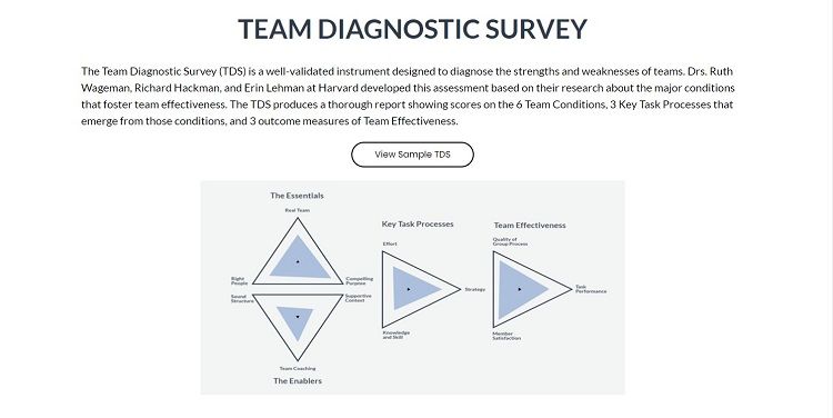 Tangkapan layar halaman Survei Diagnostik Tim