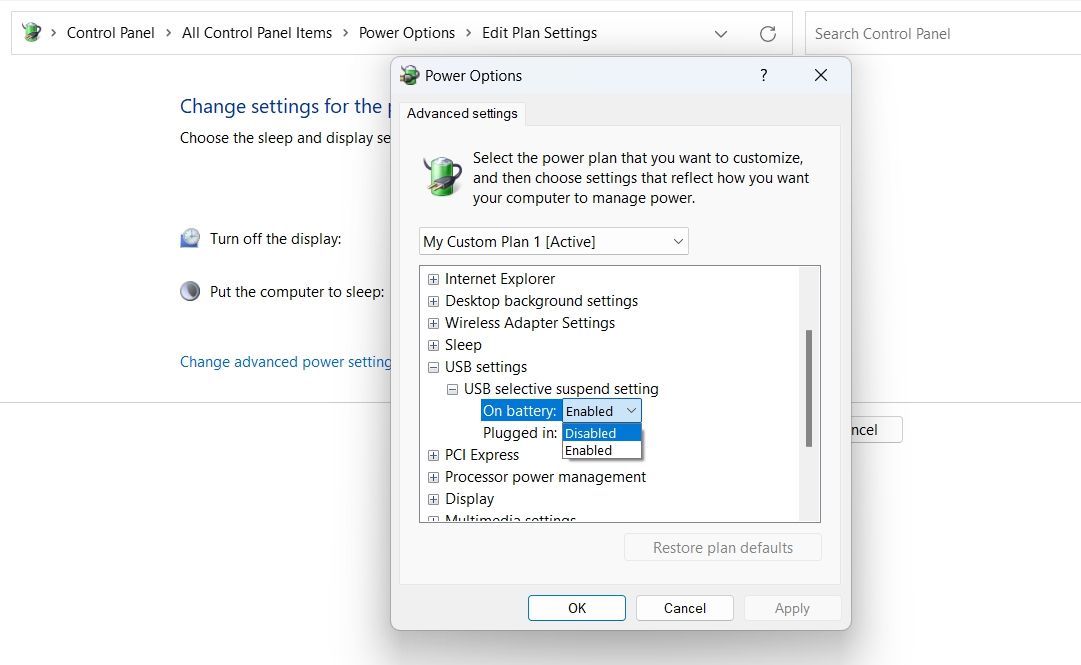 Opsi Pengaturan Selektif USB di Panel Kontrol