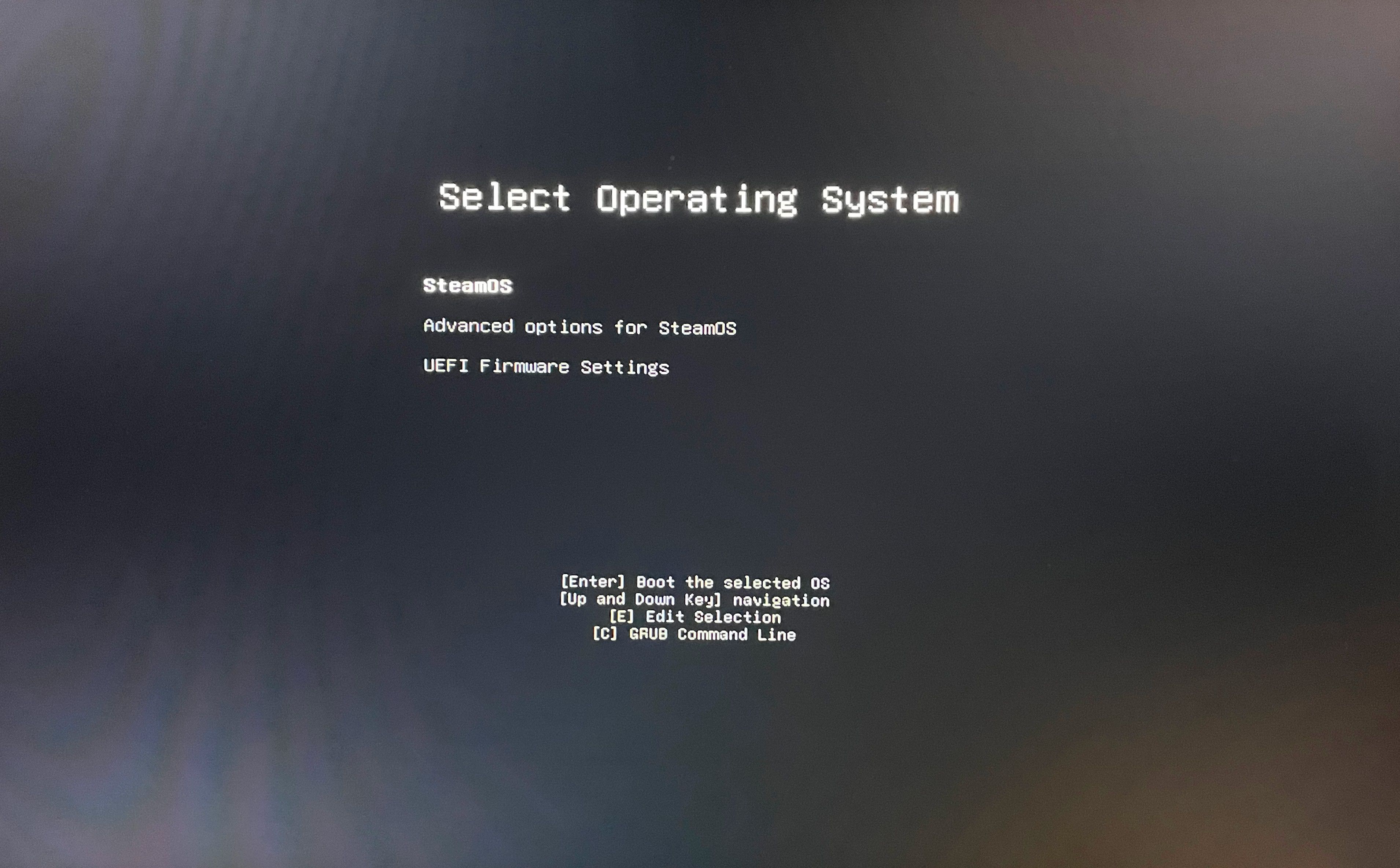 Pilihan opsi instalasi SteamOS saat boot pertama