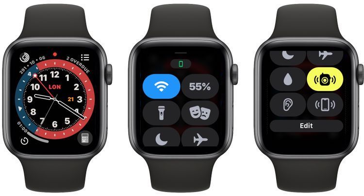 Apple Watch ping iPhone 버튼