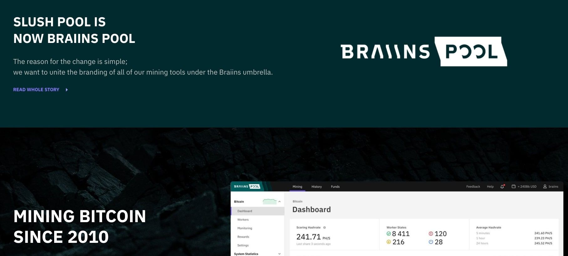 braains pool 웹사이트 홈페이지 스크린샷