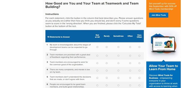 MindTools 團隊評估頁面截圖