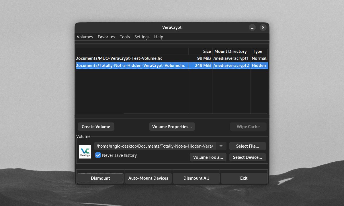 VeraCrypt main volume with mounted hidden volume